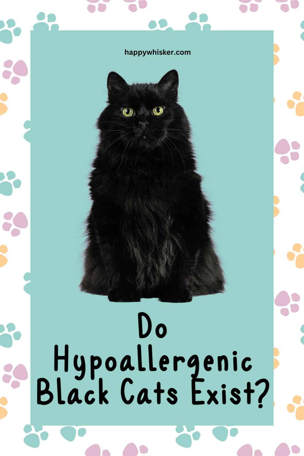 Do Hypoallergenic Black Cats Exist Assessing 22 Cat Breeds Pinterest