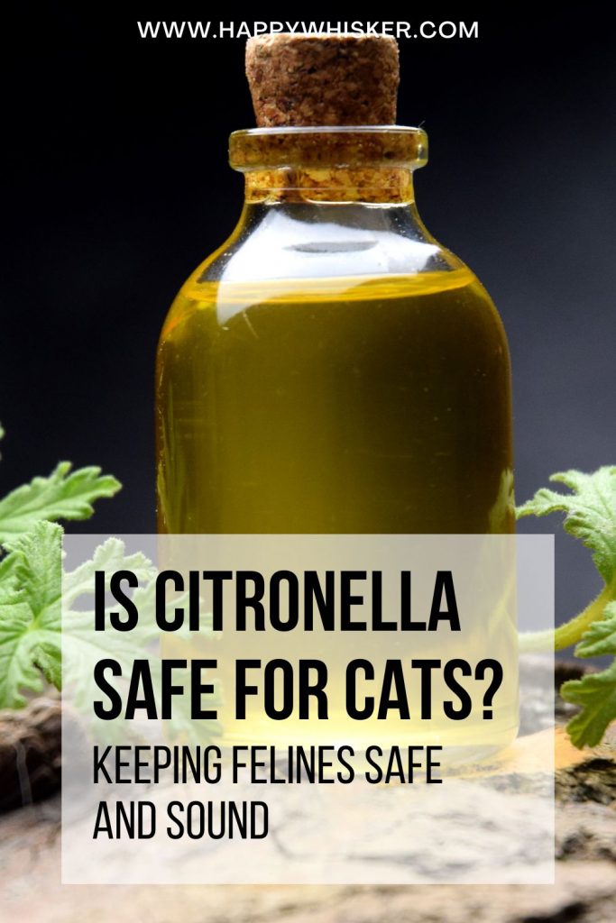 Is Citronella Safe For Cats? Keeping Felines Safe And Sound