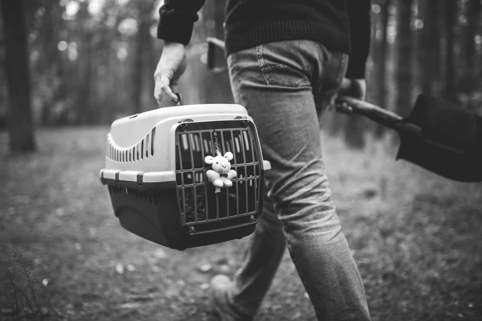 Man still in forest carrying transport box inside with dead pet and shovel for burying animal in wood