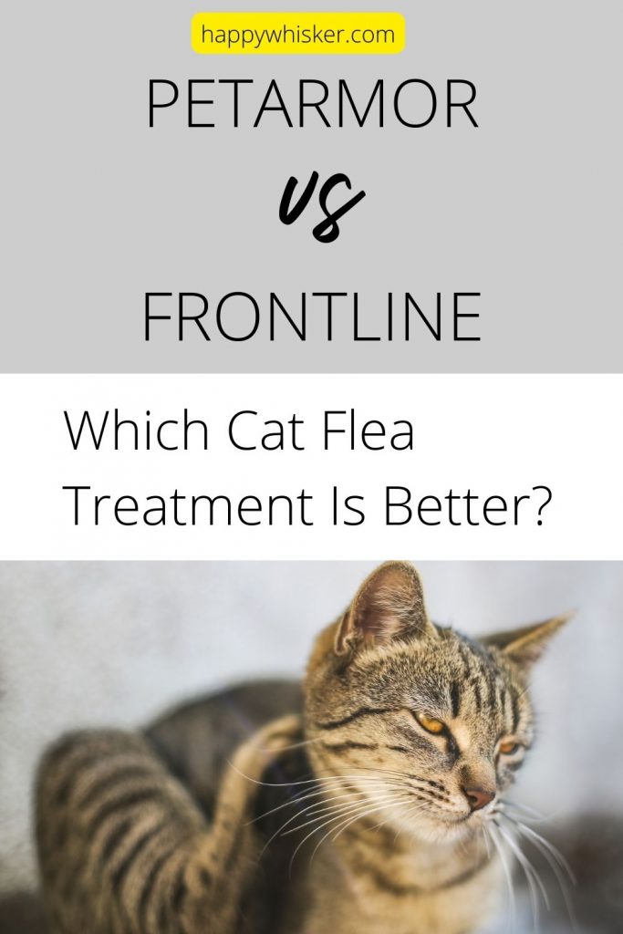 PetArmor Vs. Frontline Which Cat Flea Treatment Is Better?