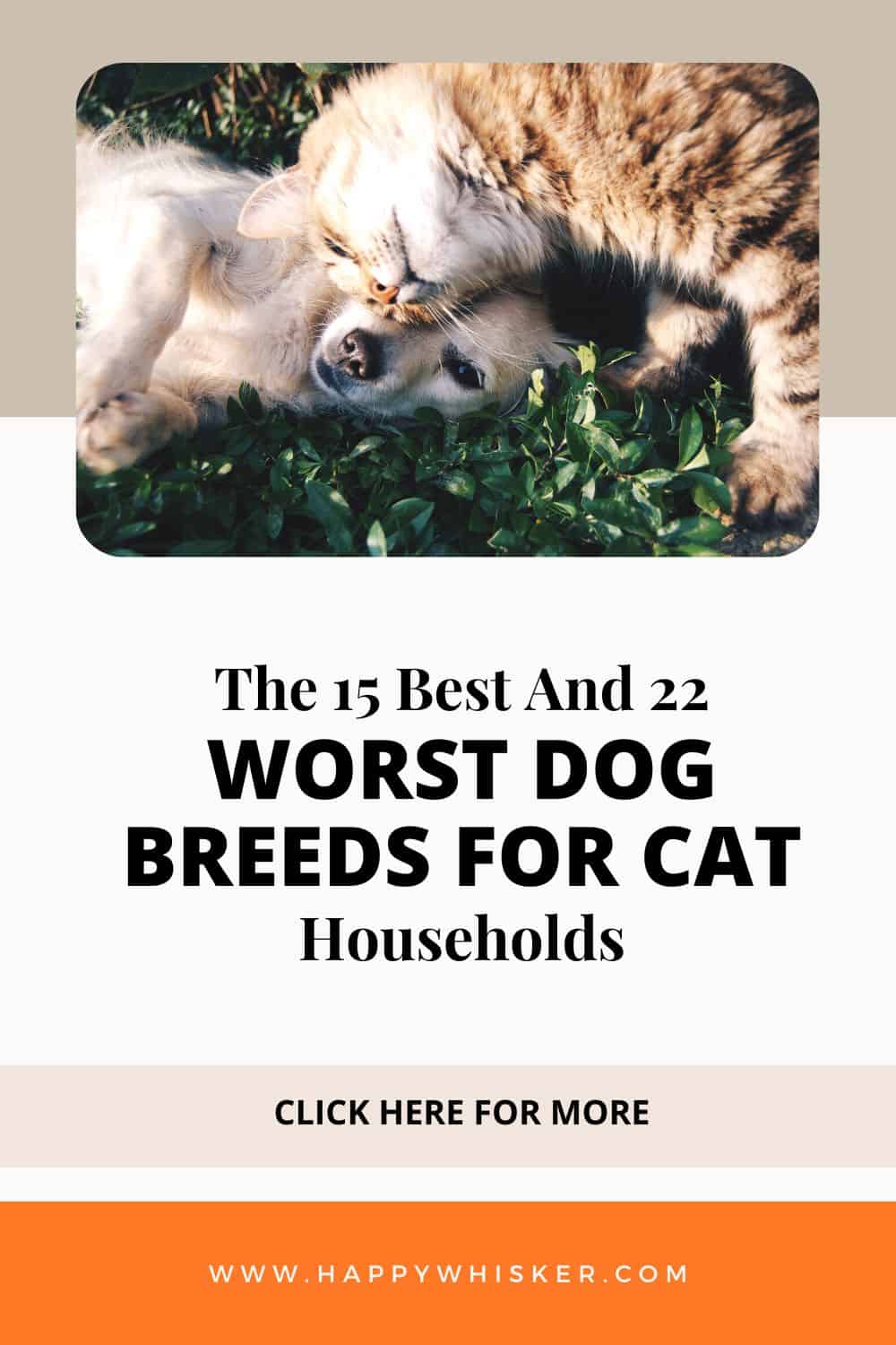 The 15 Best And 22 Worst Dog Breeds For Cat Households Pinterest