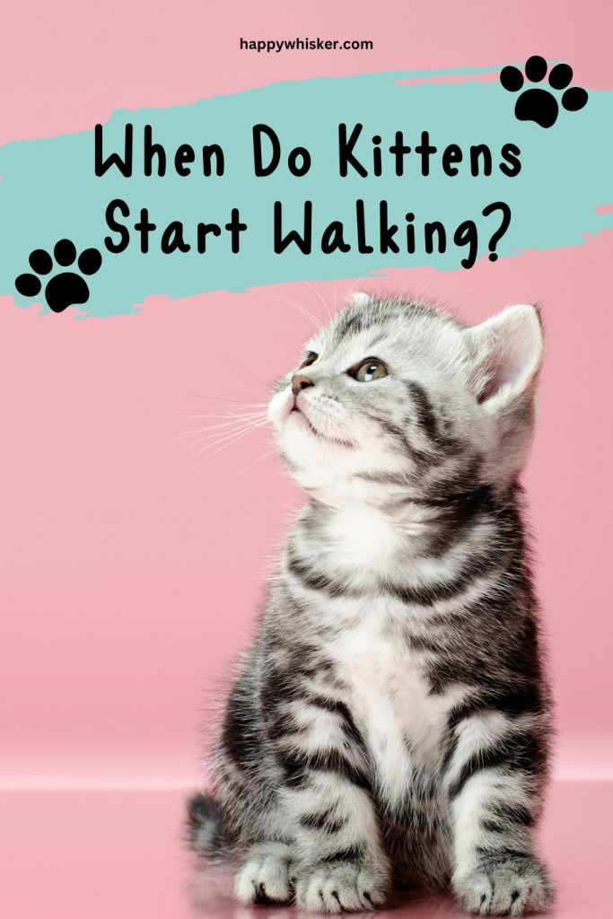 When Do Kittens Start Walking? A MustKnow KittenCare Fact