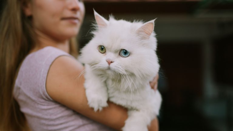 woman holding a white cat