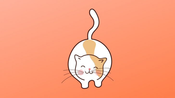 Why Do Cats Vibrate Their Tails? Understanding Your Cat