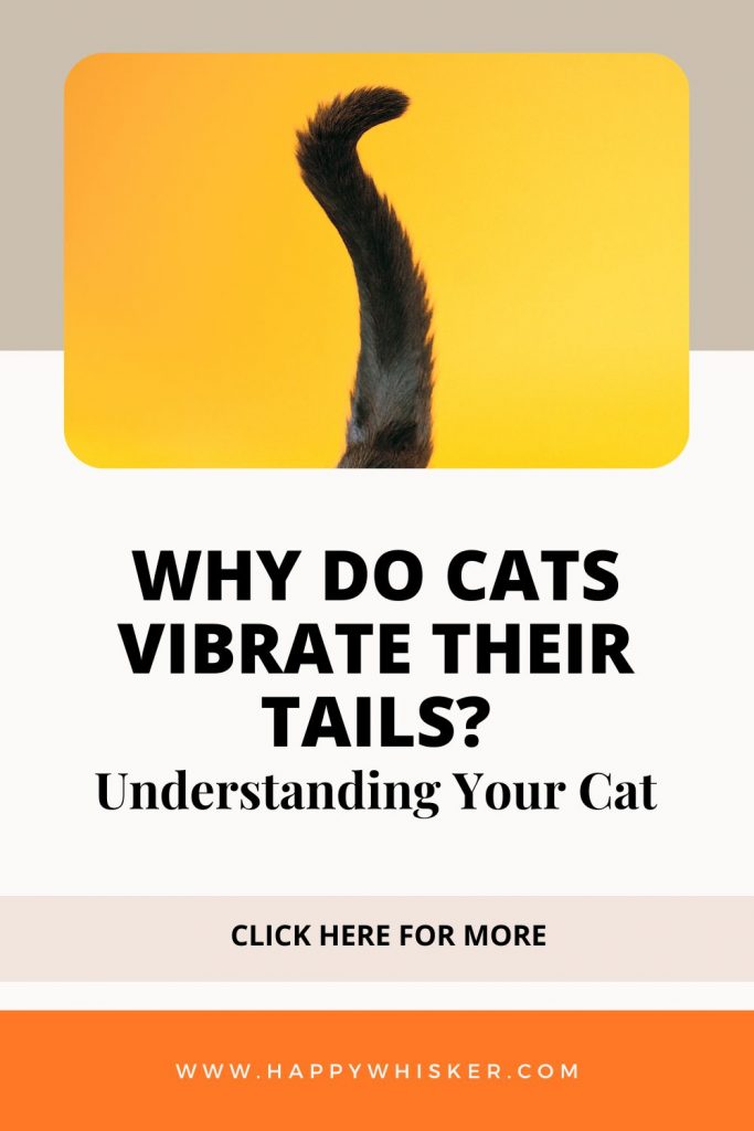 Why Do Cats Vibrate Their Tails? Understanding Your Cat