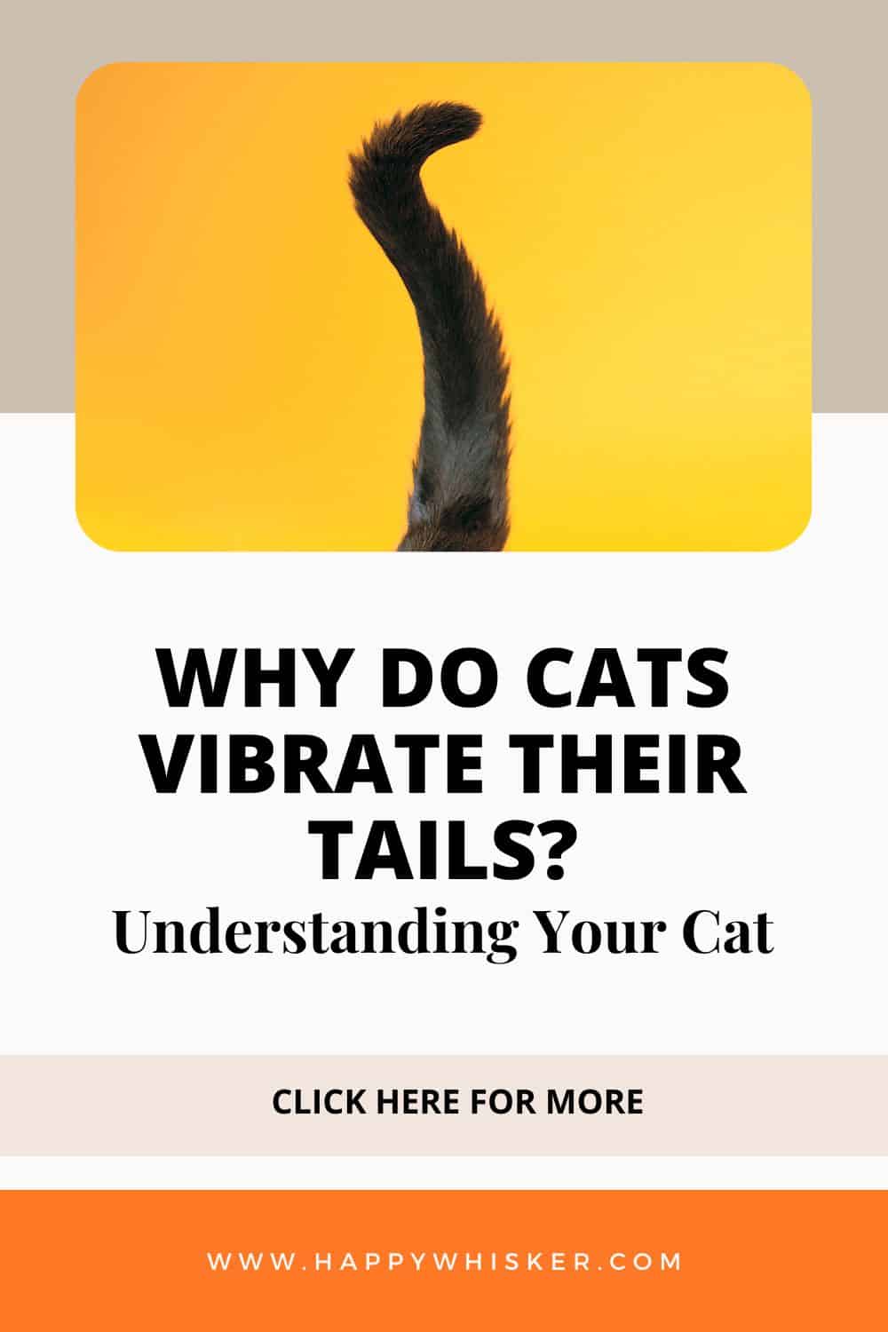 Why Do Cats Vibrate Their Tails Understanding Your Cat Pinterest