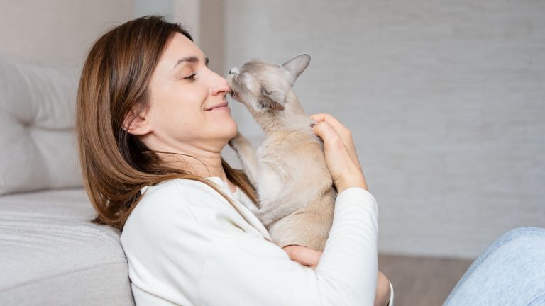 cat licks woman's face