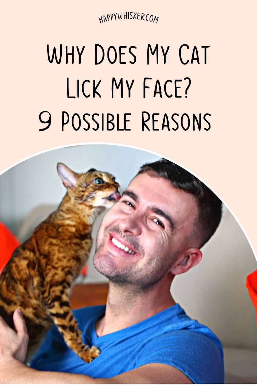 Why Does My Cat Lick My Face 9 Possible Reasons Pinterest