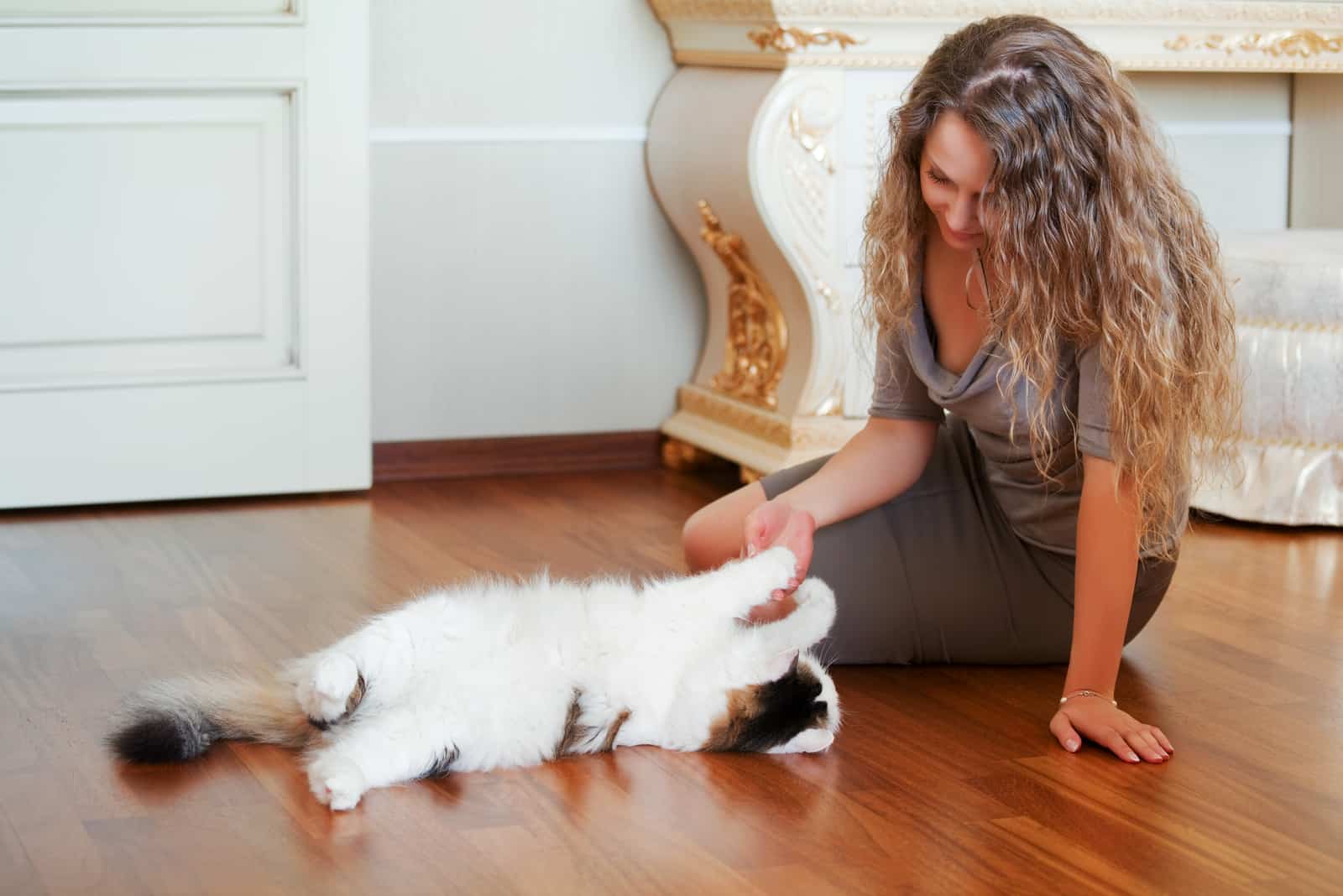 Woman playing with a cat