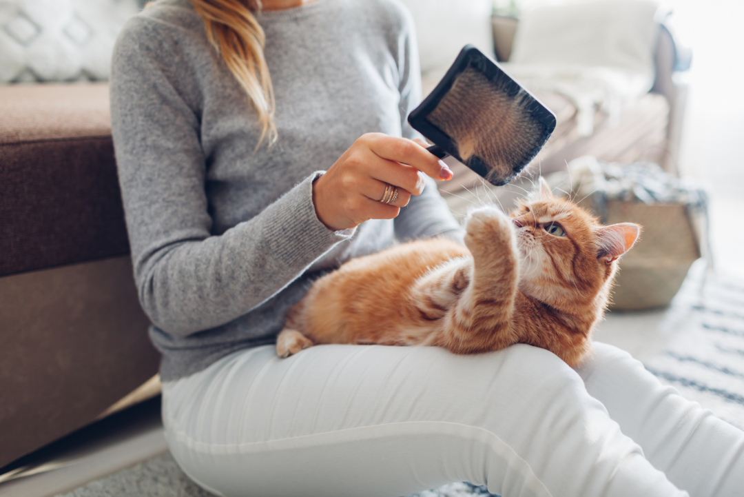Why Does My Cat’s Fur Look Separated? Tips For Improvement
