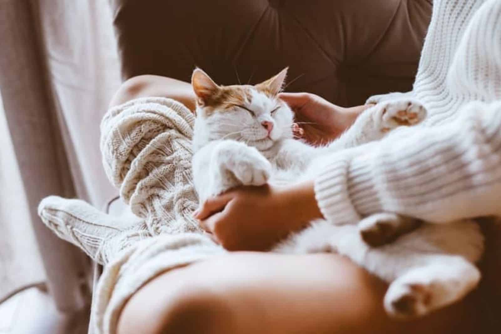 a cat on a woman's legs