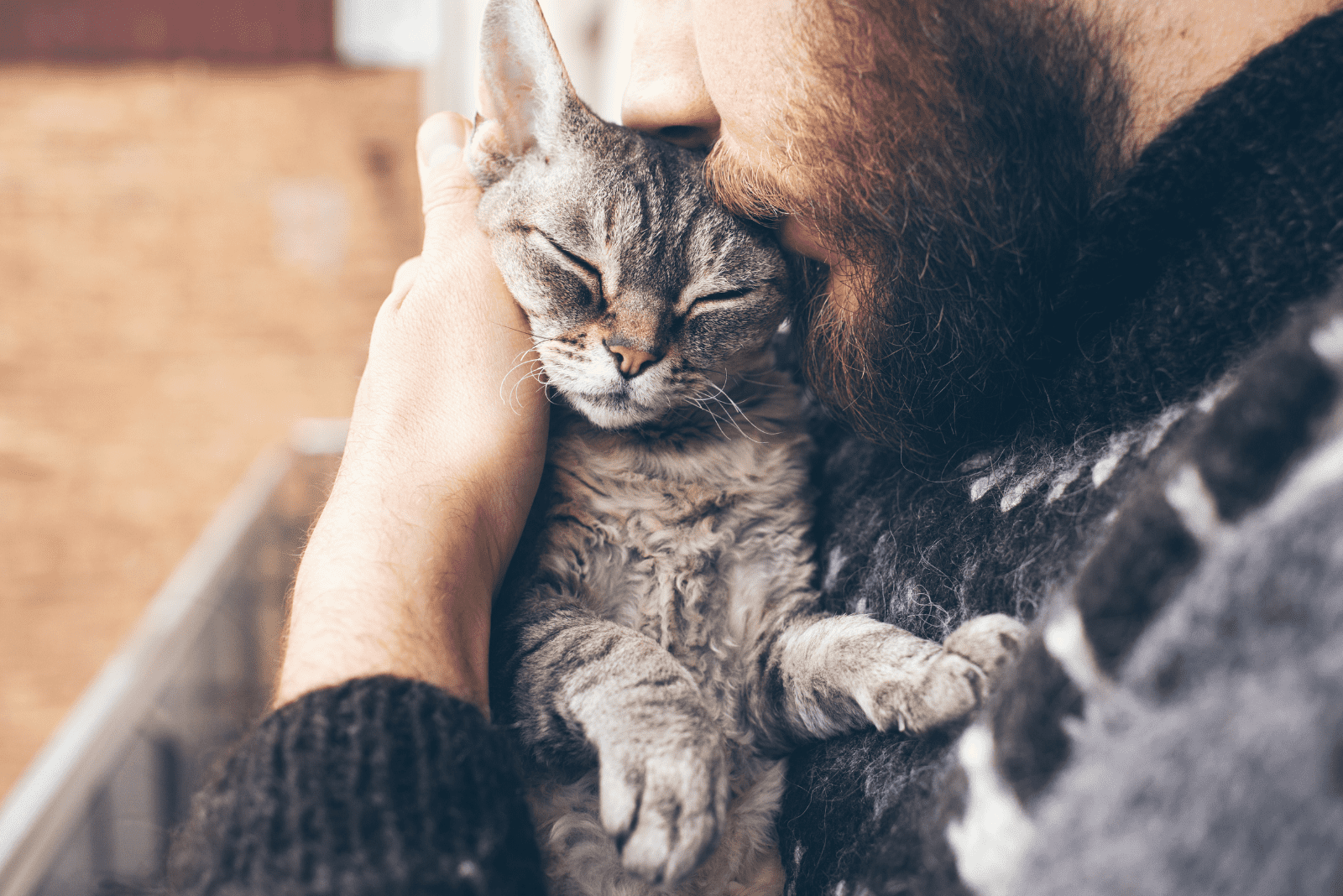 a man hugs a cat