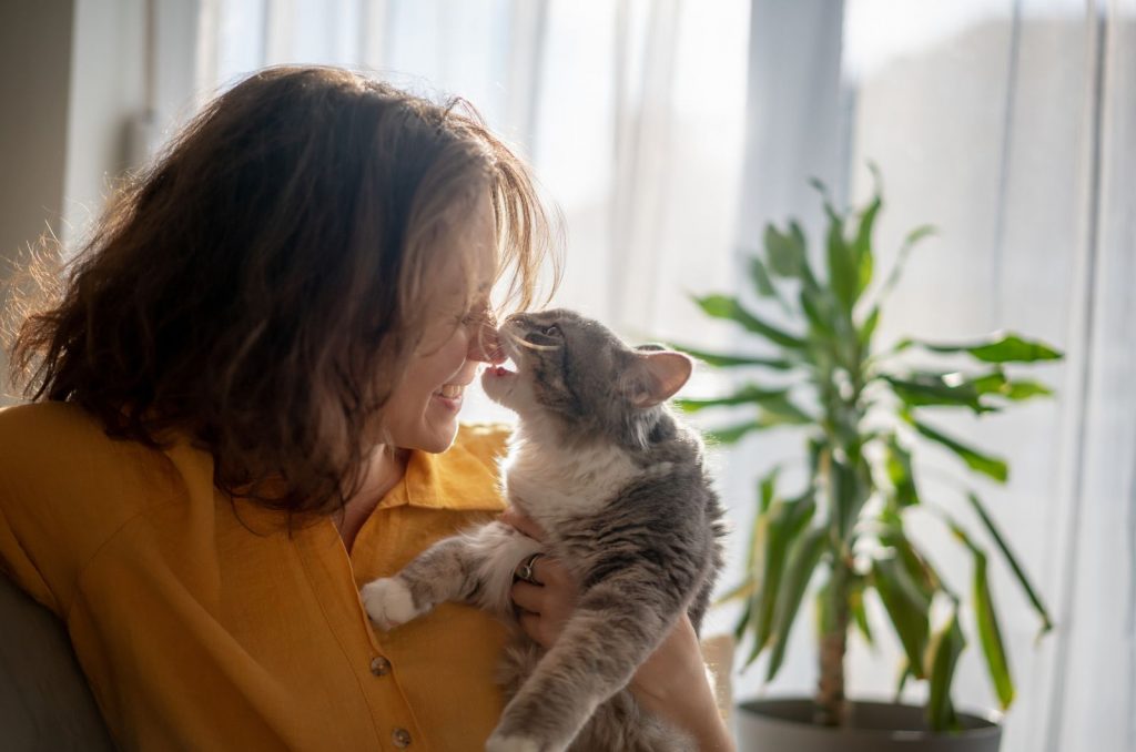 cat cuddling with owner