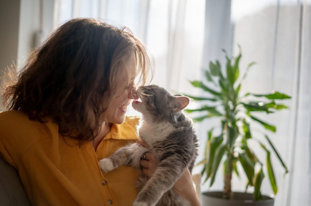 Why Does My Cat Nibble Me? Why Do We Say Love Bites?