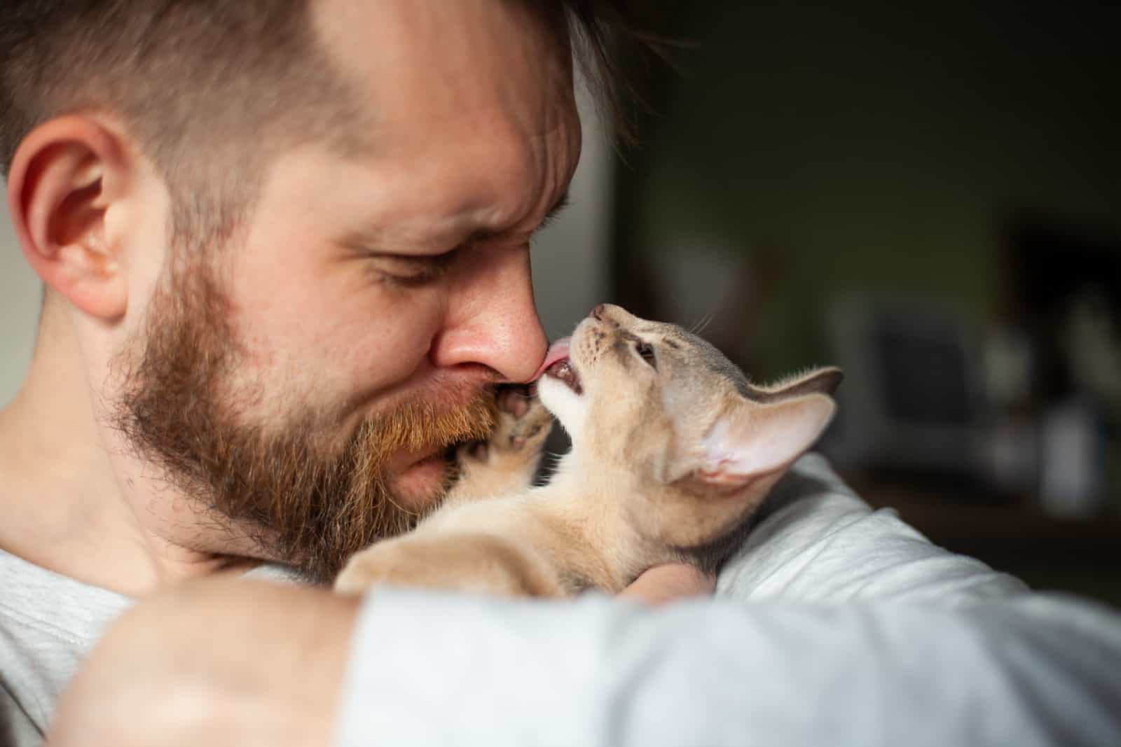 cat licks man's nose