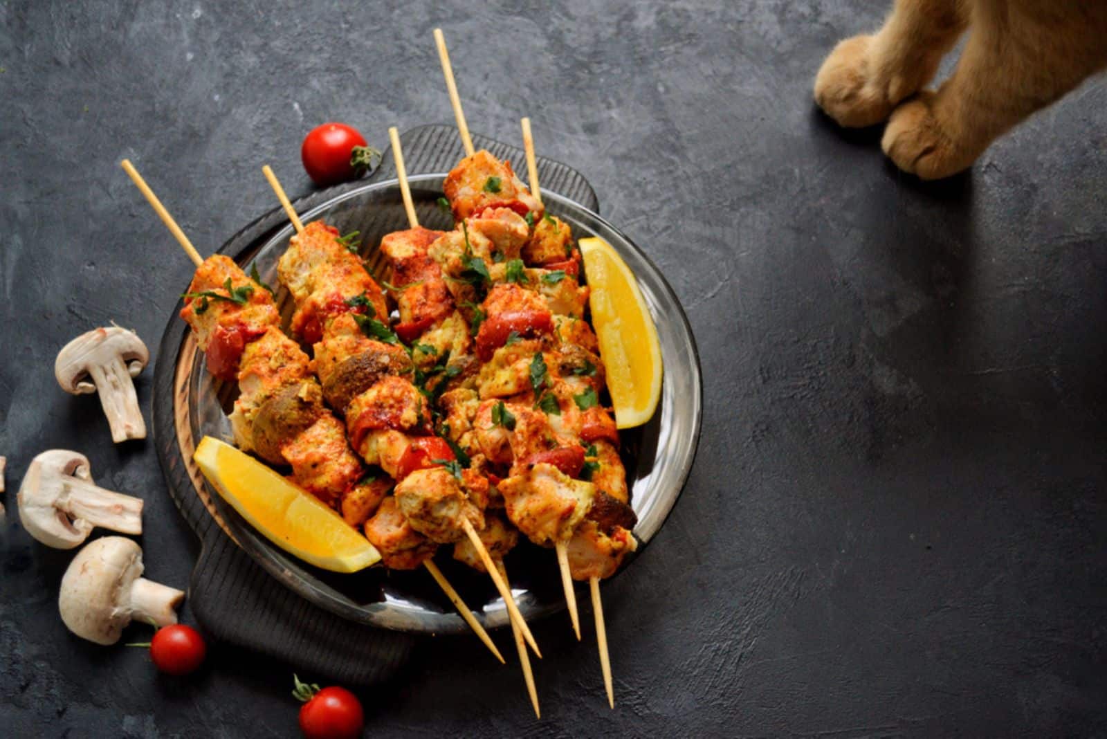 cat paws on the table with spicy food