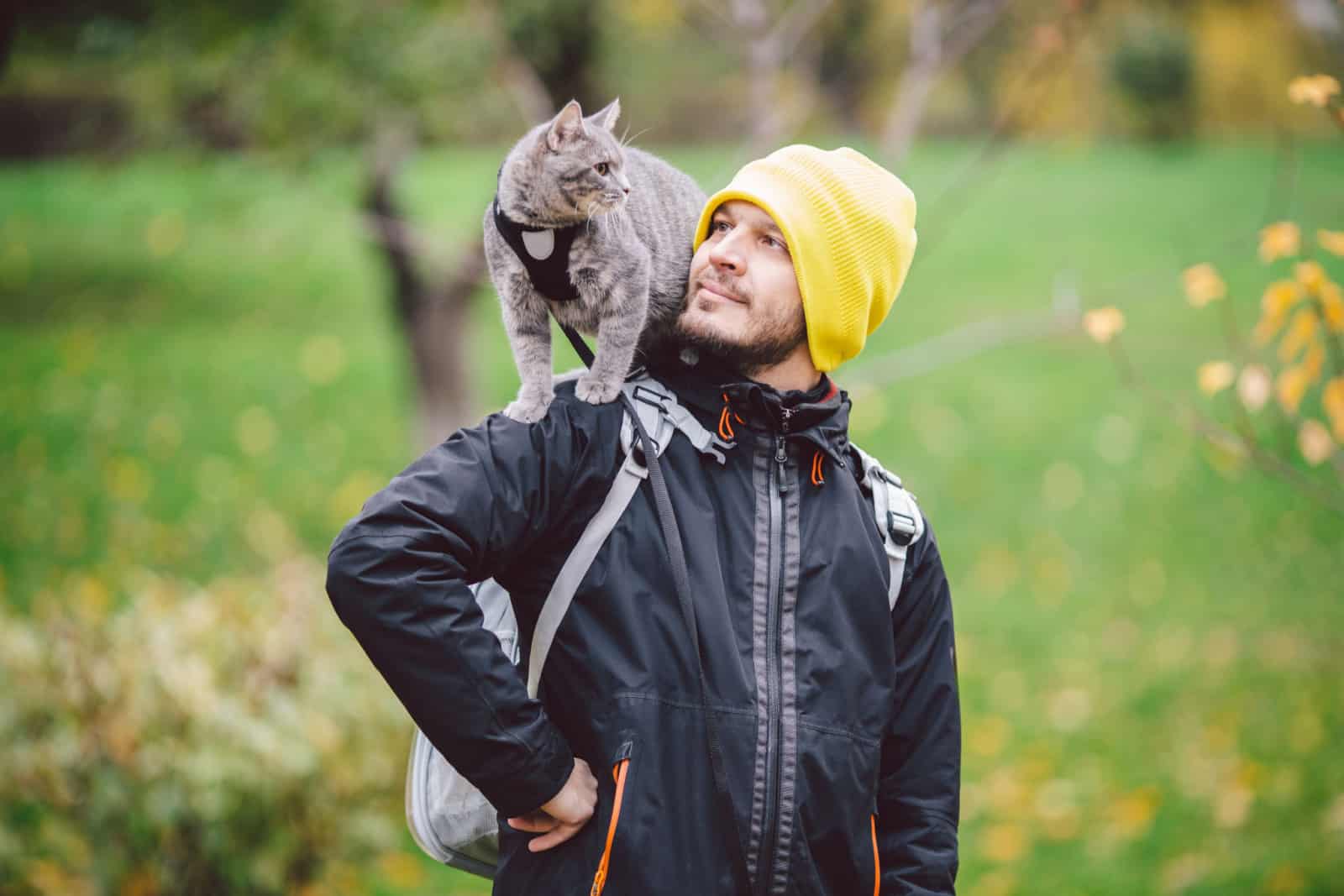 cat standing on man's shoulder