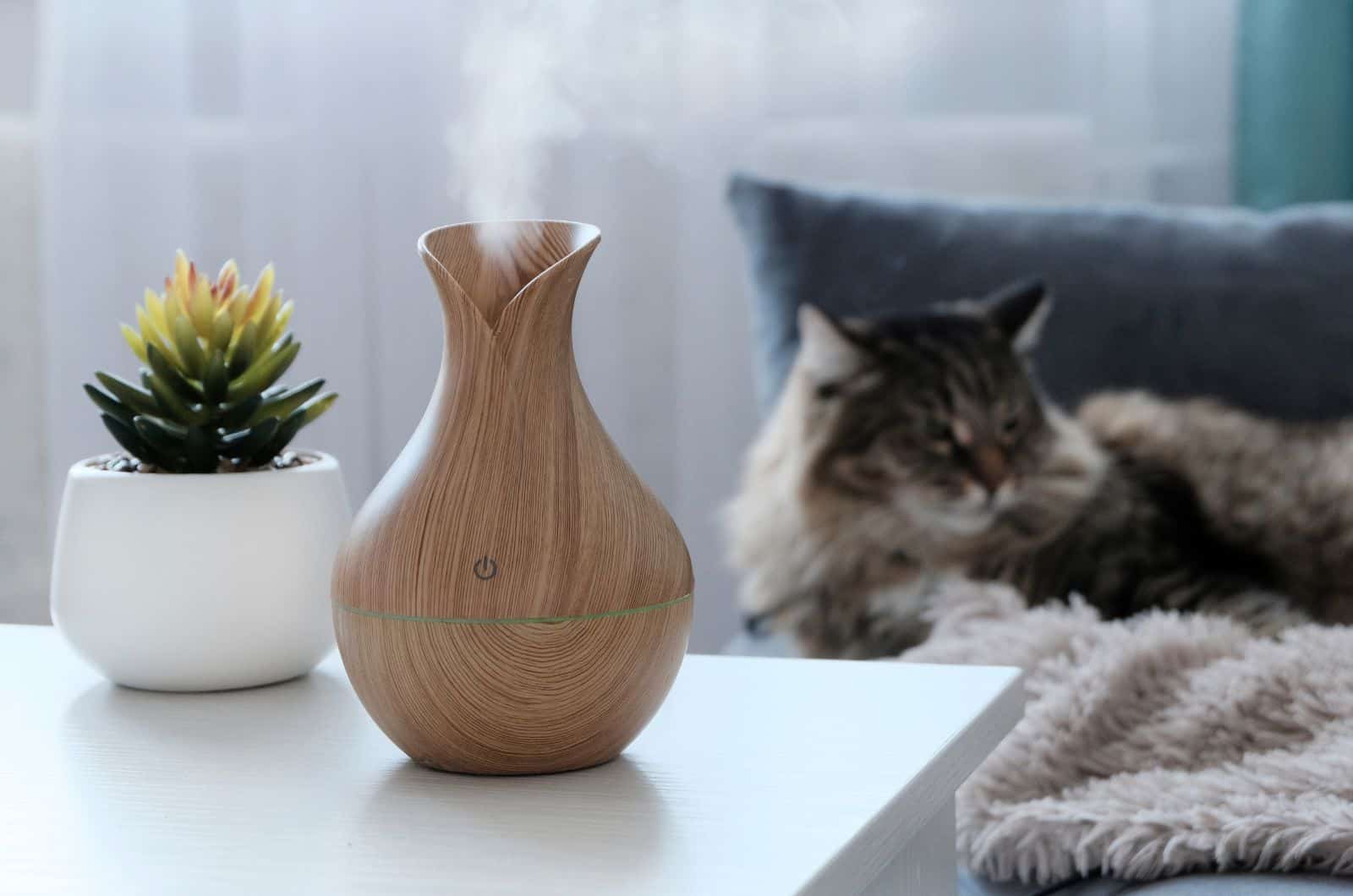 diffuser on table with cat in background
