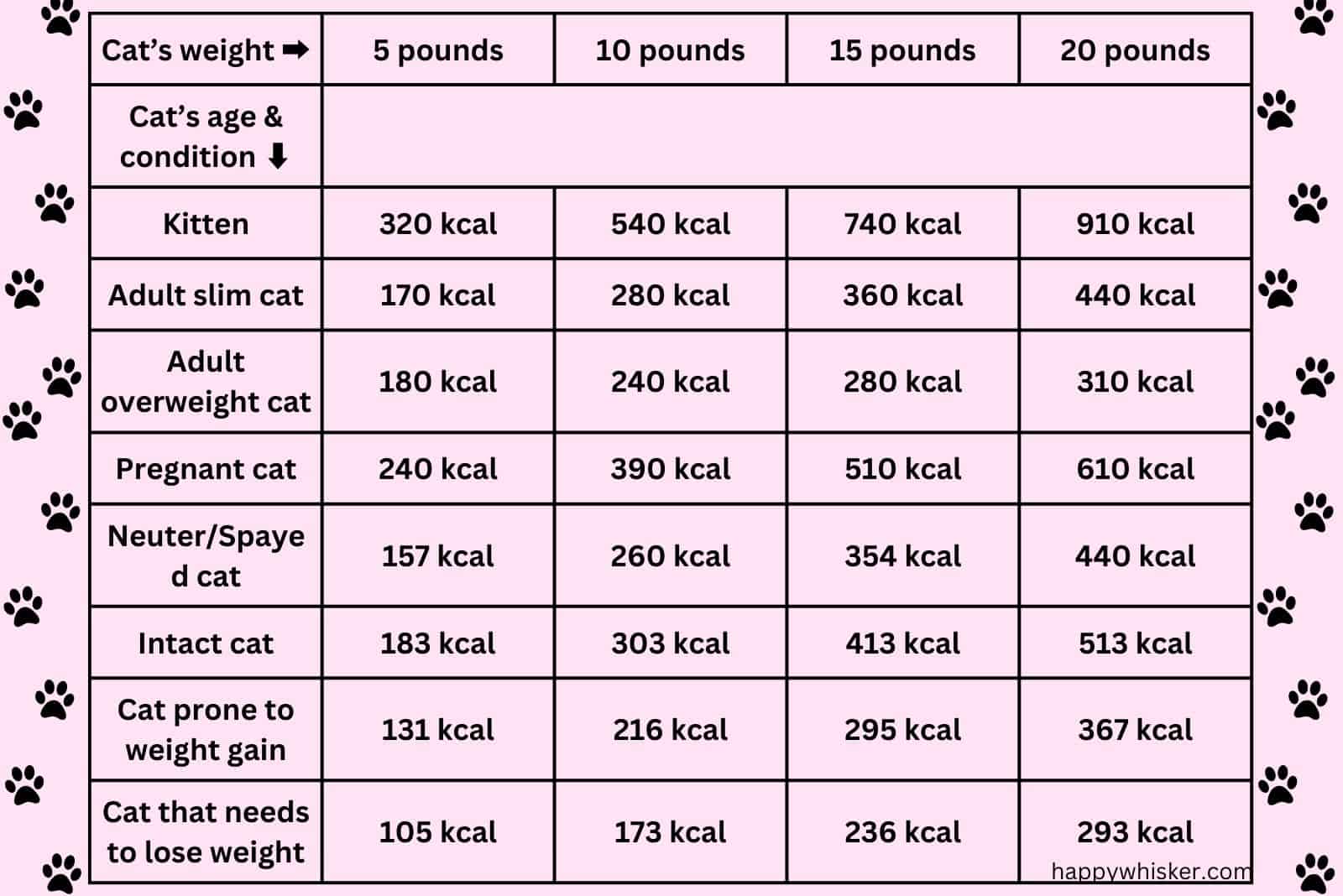 how much wet food to feed a cat per day chart