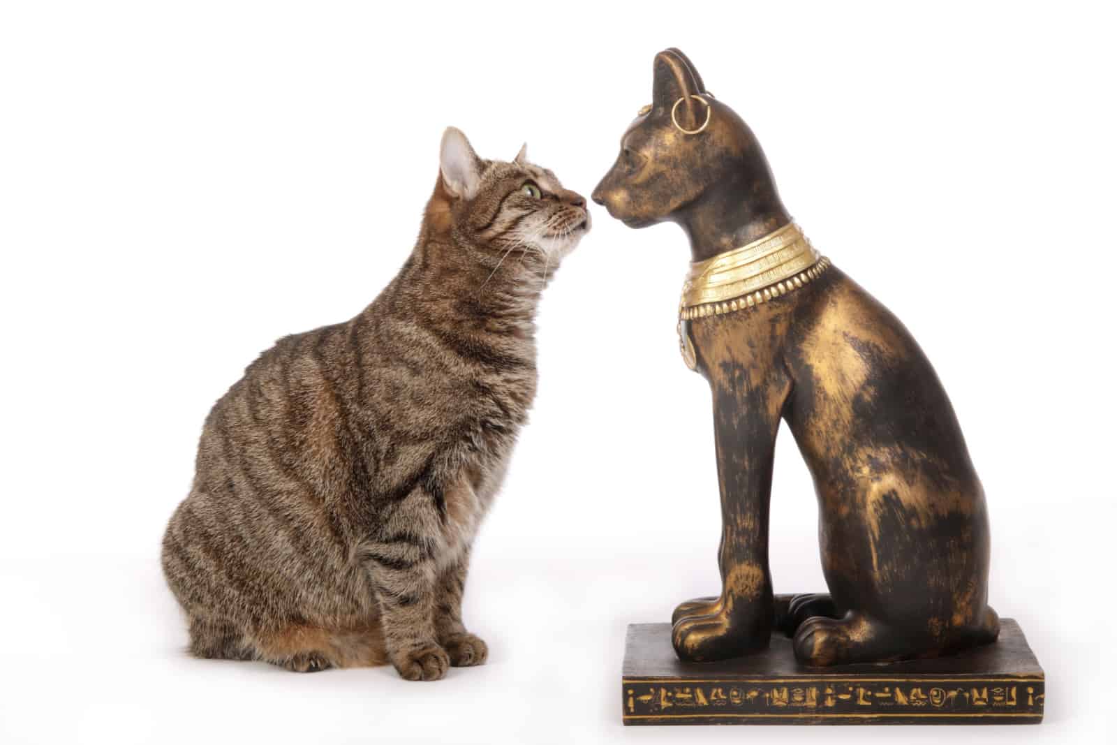 replica of a statue of the Egyptian cat goddess Bastet in front of a real European tabby cat