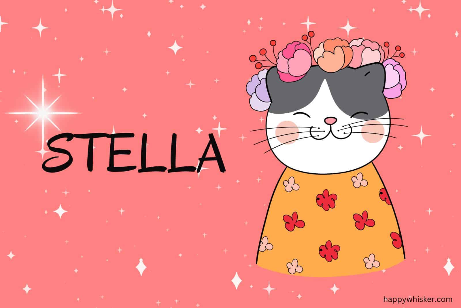 stella name and cat illustration