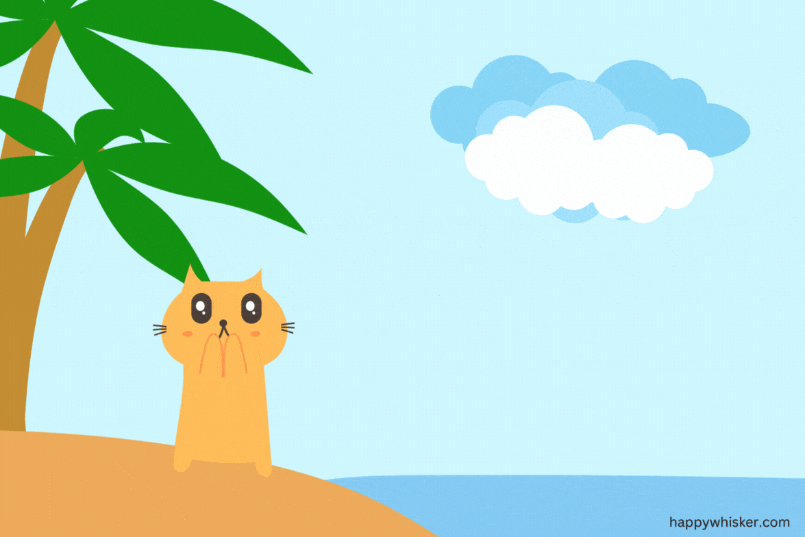 the cat is standing on the beach