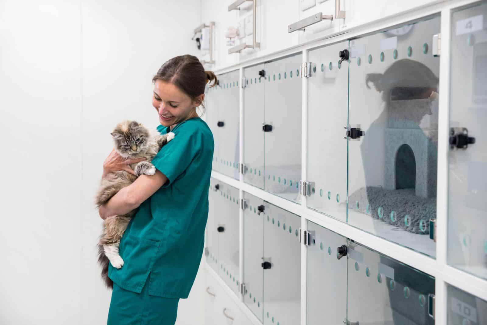 the veterinarian is holding a cat in his arms