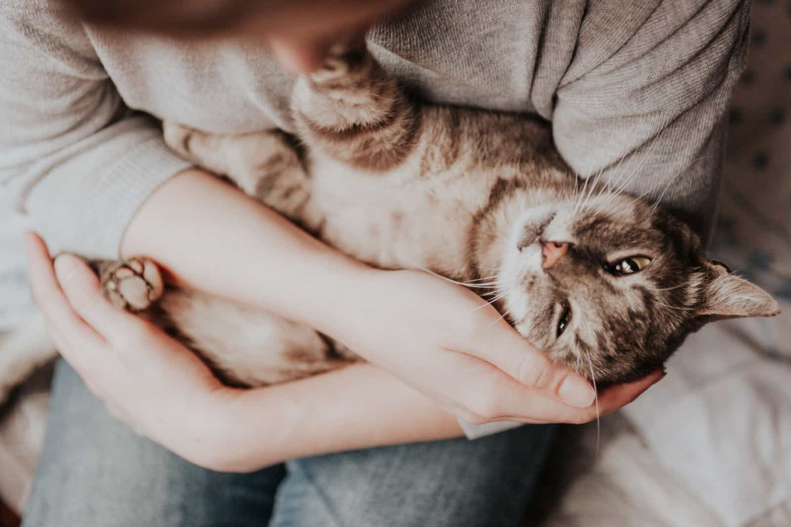 woman cuddles with cat