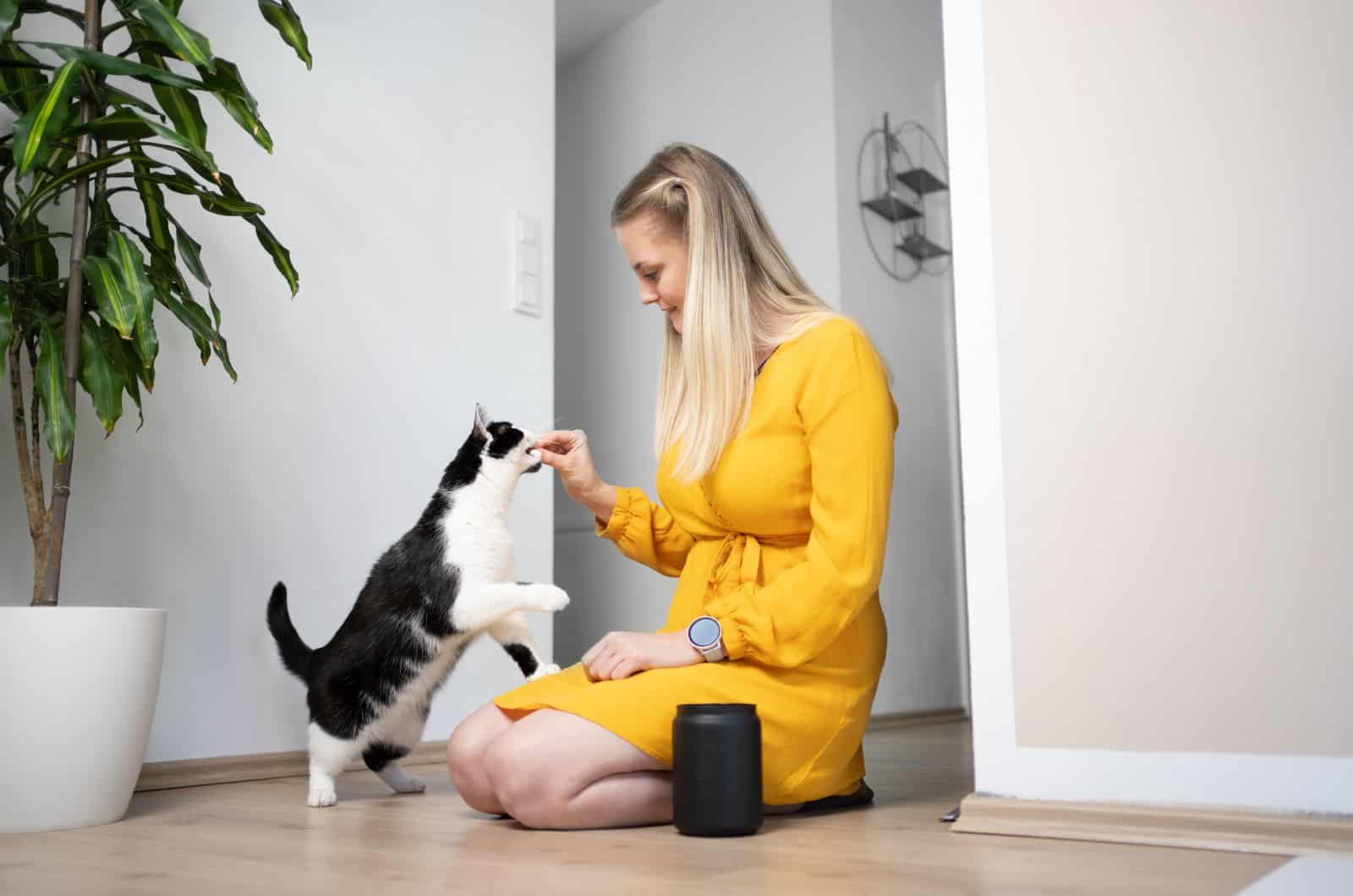 woman feeding Fat Tuxedo Cat