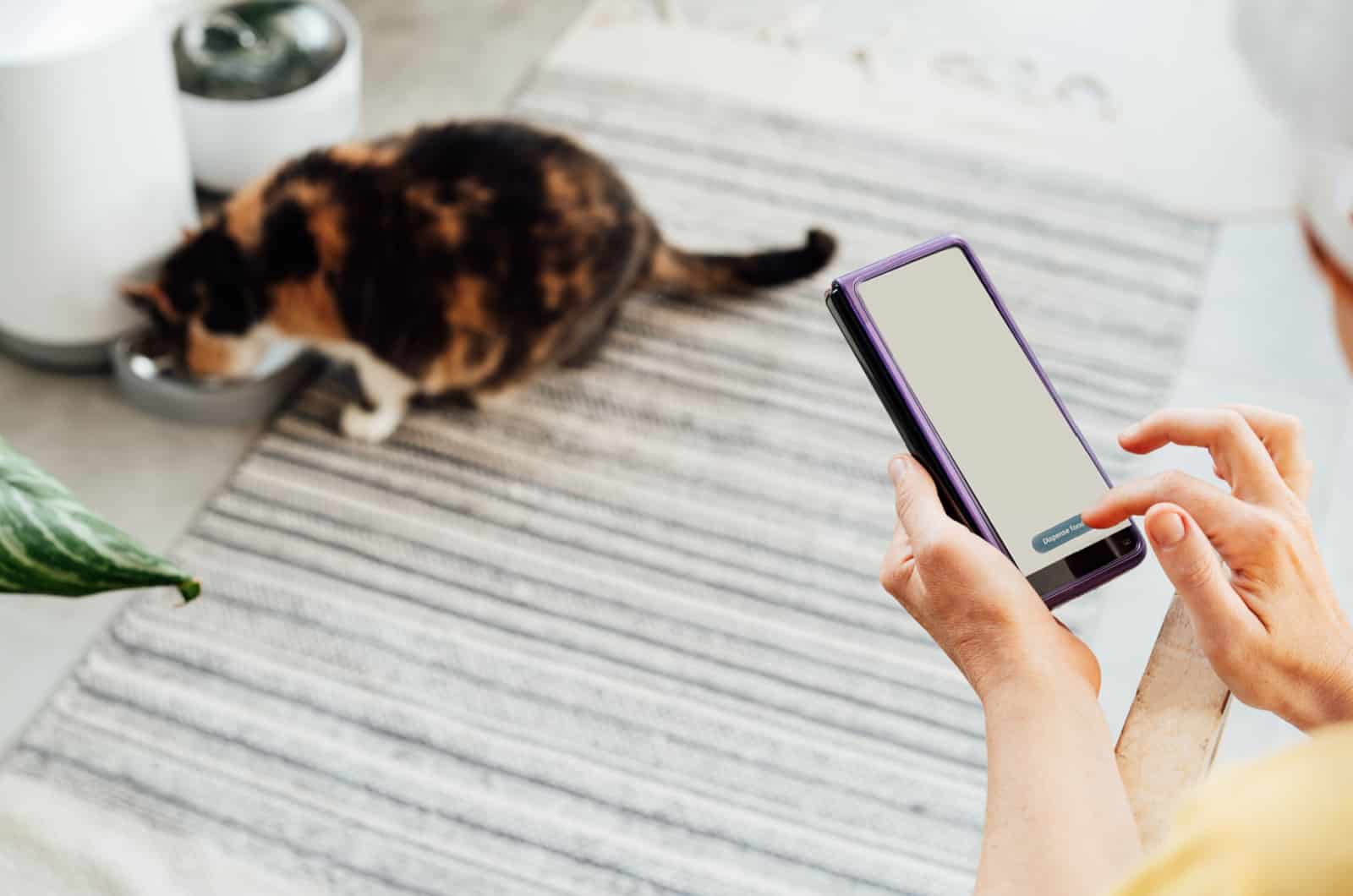 woman holding a smartphone to control a cat feeder