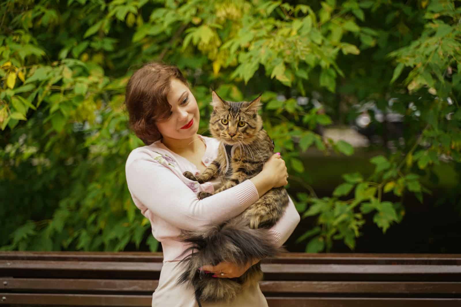 woman holds grey maine coon cat with harness