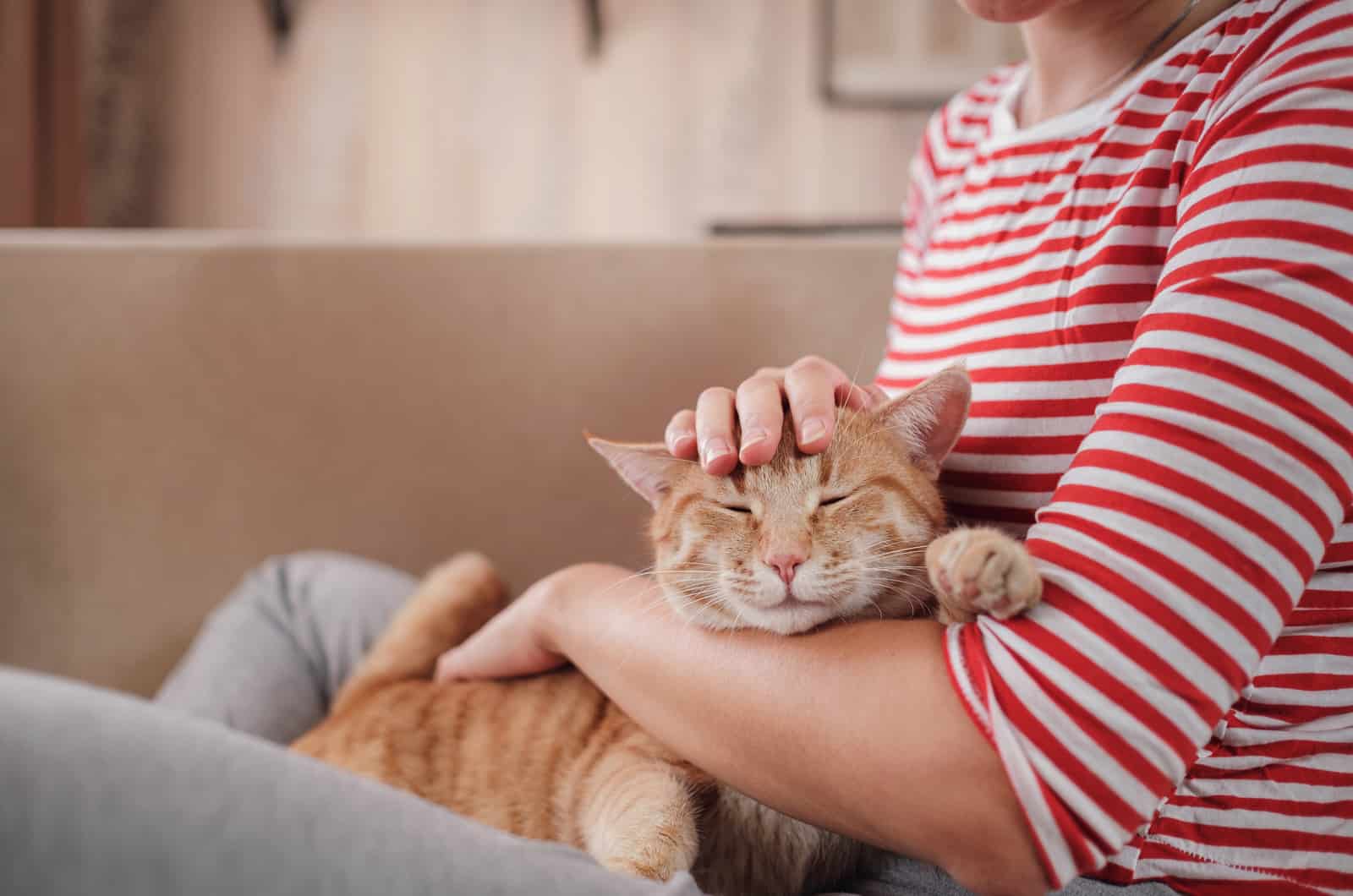woman relaxing with her ginger tabby cat