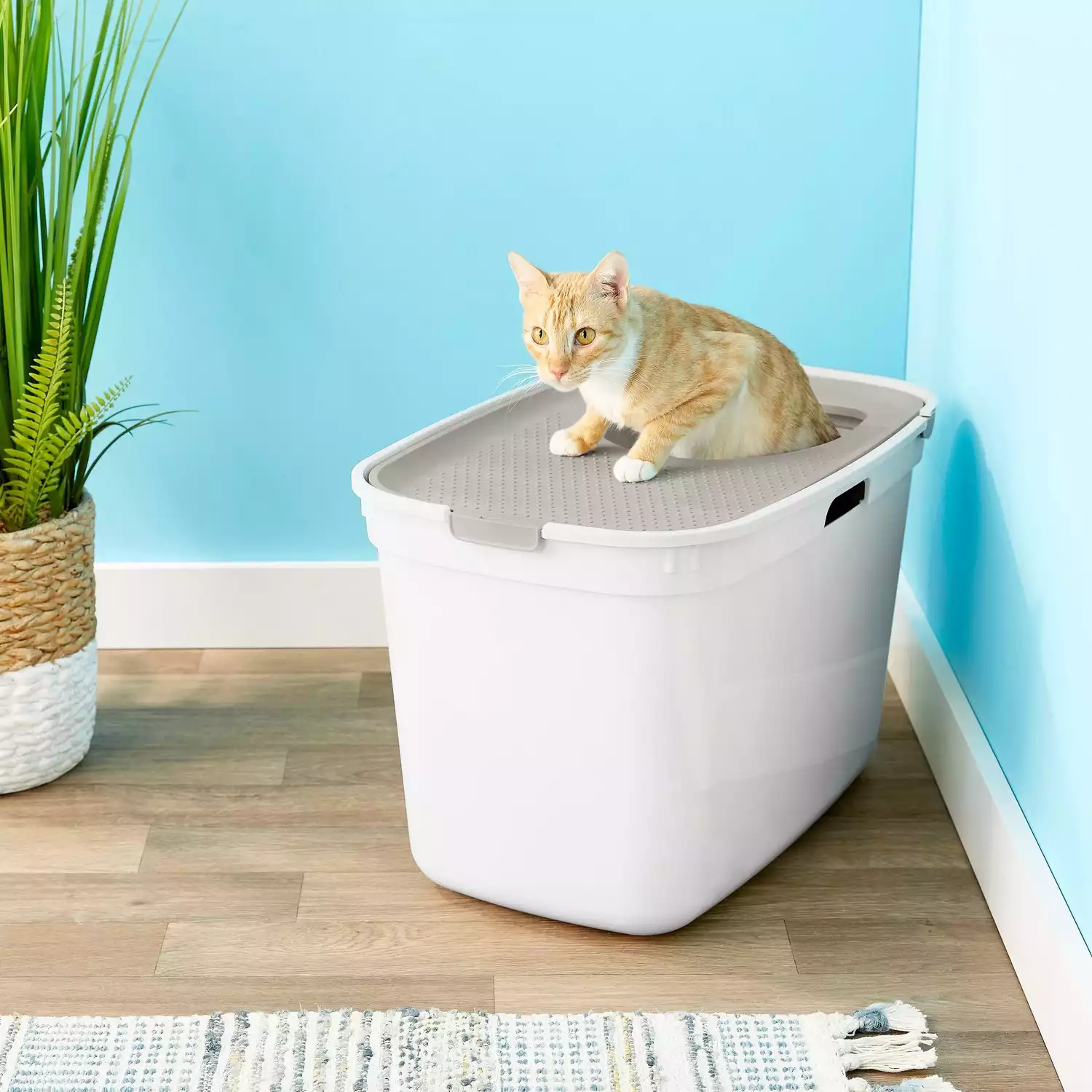 Frisco Top Entry Large Cat Litter Box
