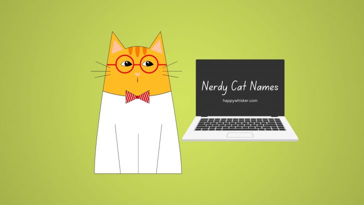 222 Nerdy Cat Names For Cats That Would Look Good In Glasses