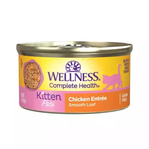 Wellness Complete Health Kitten Pate