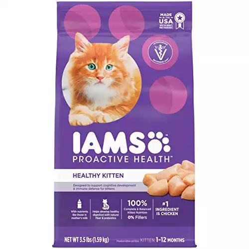 Iams ProActive Health Kitten Dry Food