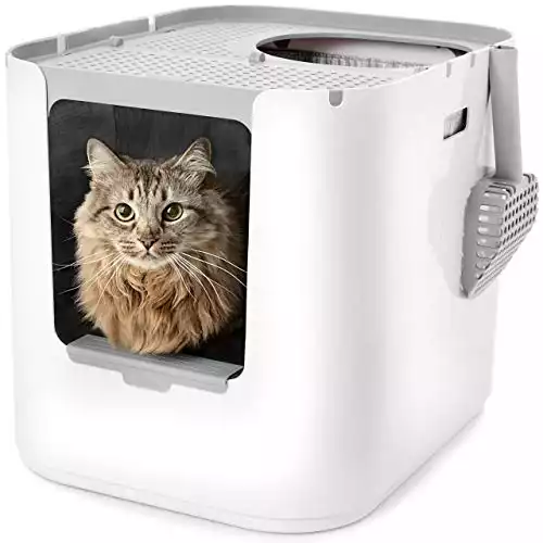 Modkat XL Litter Box (Front Or Top Entry)