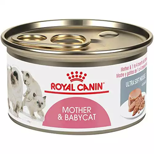 Royal Canin Mother & Baby Cat Ultra-Soft Mousse