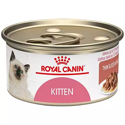 Royal Canin Kitten Wet Food
