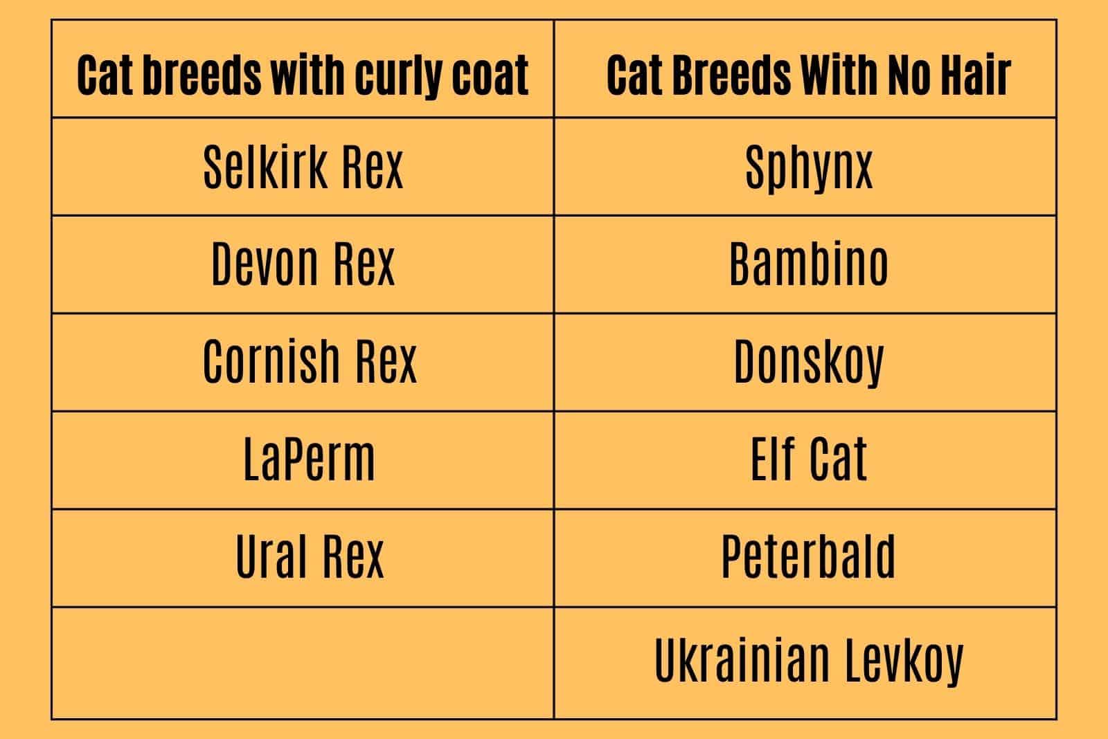 Breed Identification for hairless cats