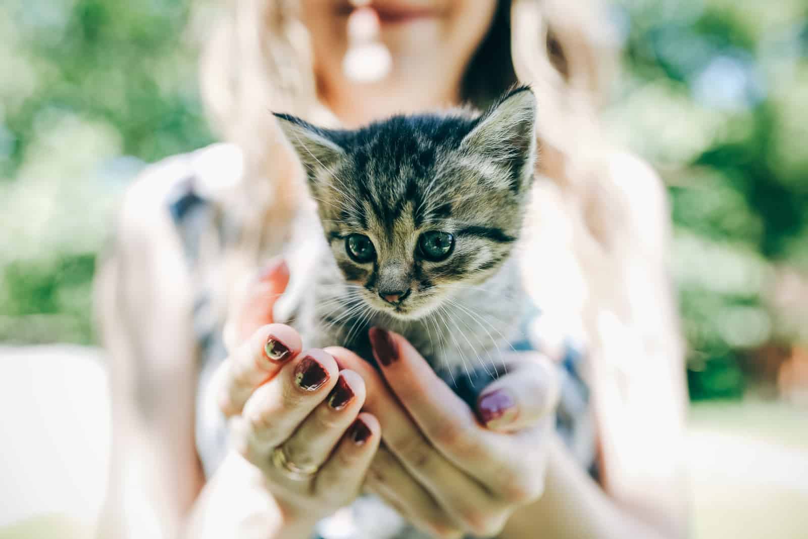 Happy girl with bright nails is holding small cute kitten in her hands