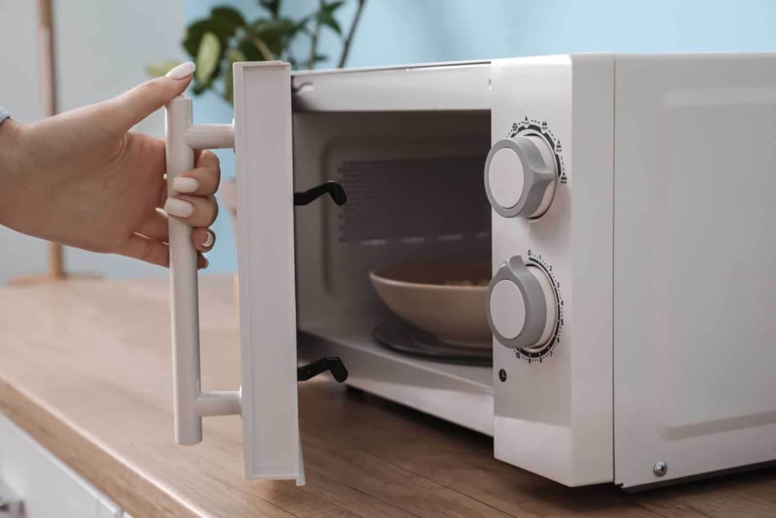 Woman heating food in microwave oven