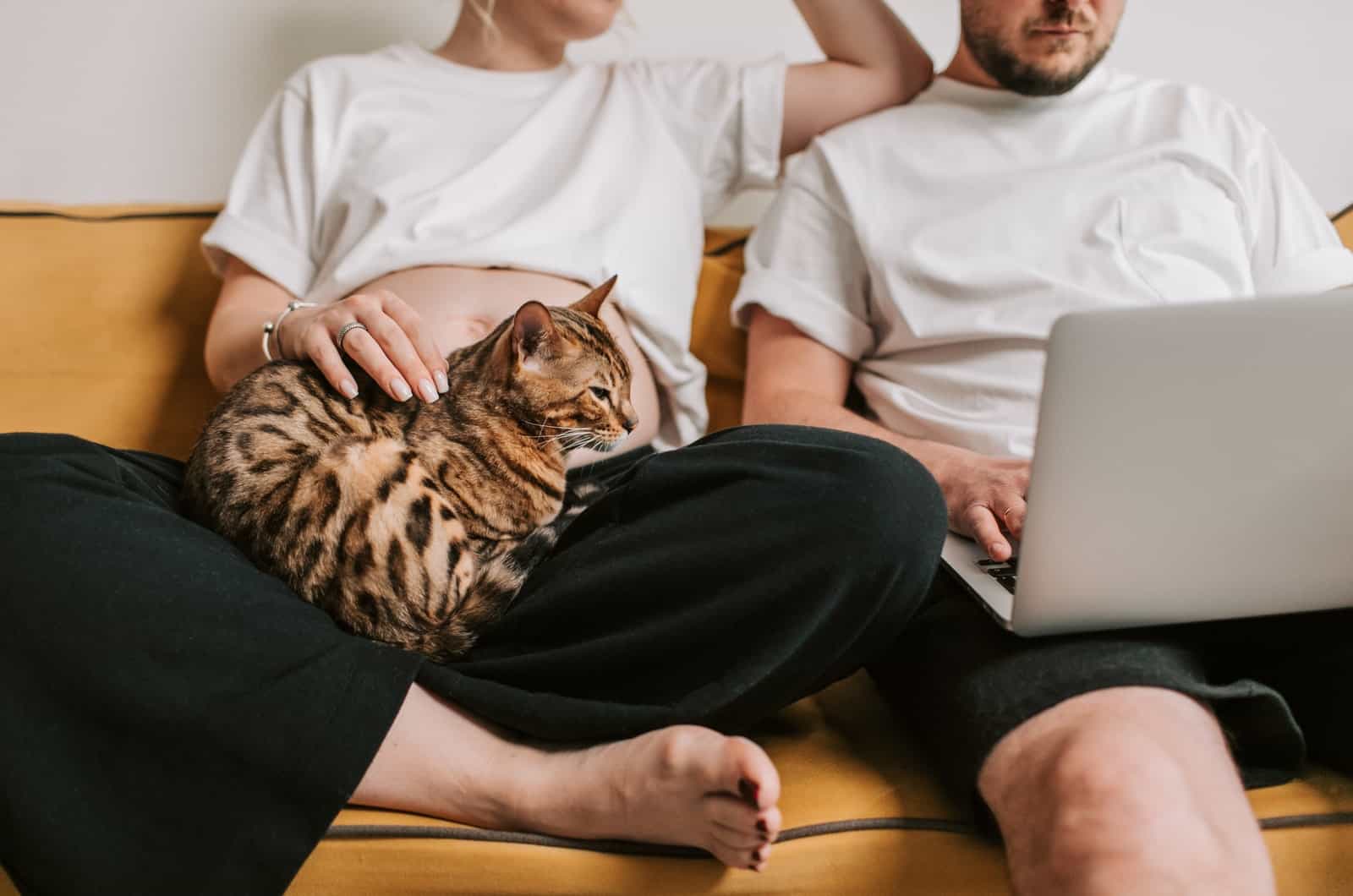 couple sitting on a sofa with a bengal cat