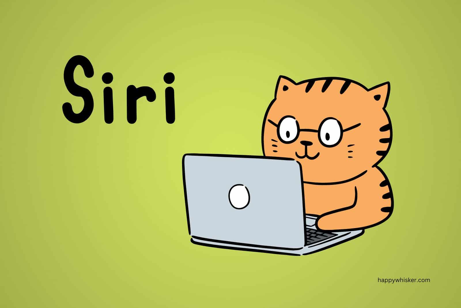 illustration of cat by the laptop with written cat name