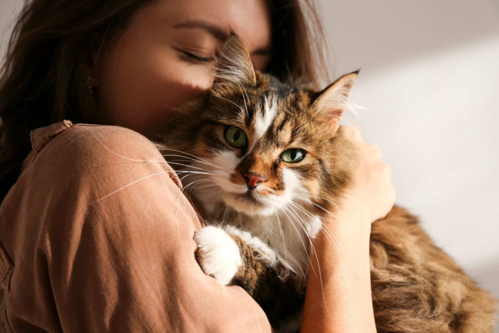 young woman cuddling with ragamuffin cat