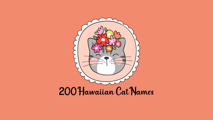 200+ Hawaiian Cat Names And The Meaning Of Each One