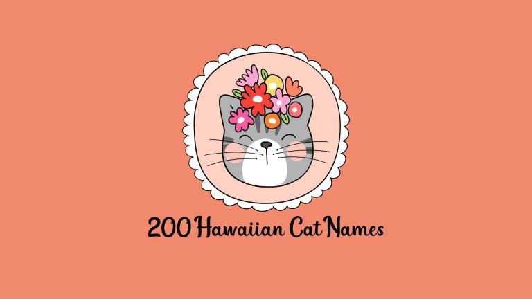 Hawaiian Cat Names