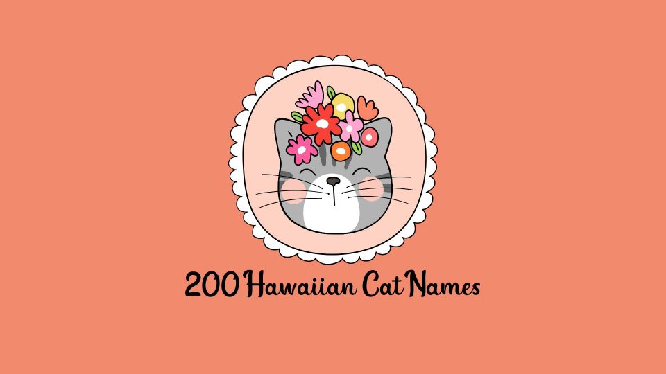 150-hawaiian-cat-names-and-the-meaning-of-each-one