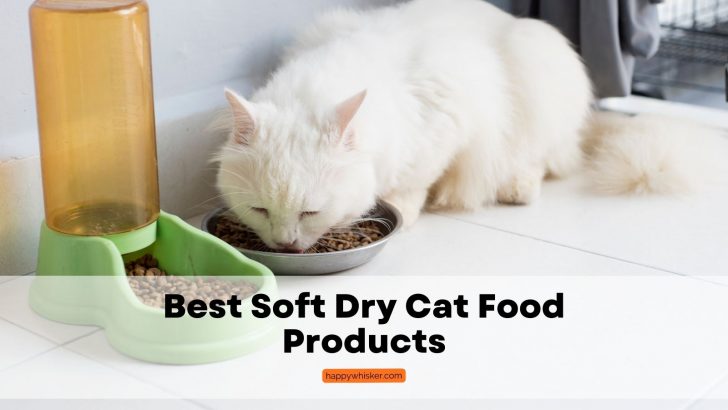16 Best Soft Dry Cat Food Products You Have To Try In 2023