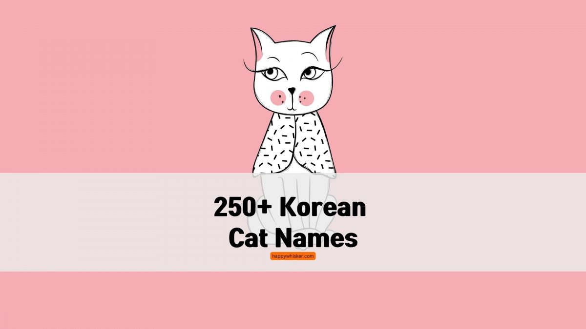 250+ Korean Cat Names You Will Love, Or Should I Say, Sarang